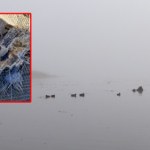 Dron rozbił się w łotewskim jeziorze. Lokalne służby w gotowości