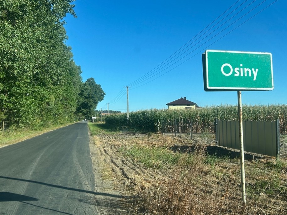 Dron spadł na pole kukurydzy w miejscowości Osiny w woj. lubelskim. /Michał Dobrołowicz /RMF FM