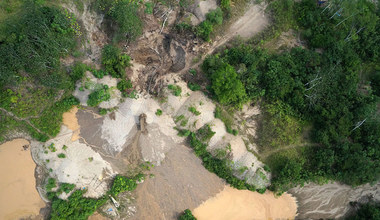 Drony będą chronić lasy deszczowe Amazonii