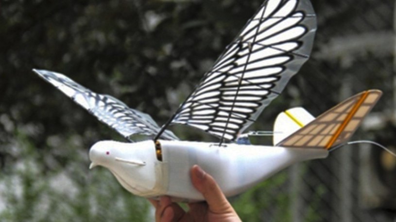 Drony niczym ptaki, czyli nowych sposób Chin na szpiegowanie obywateli /Geekweek
