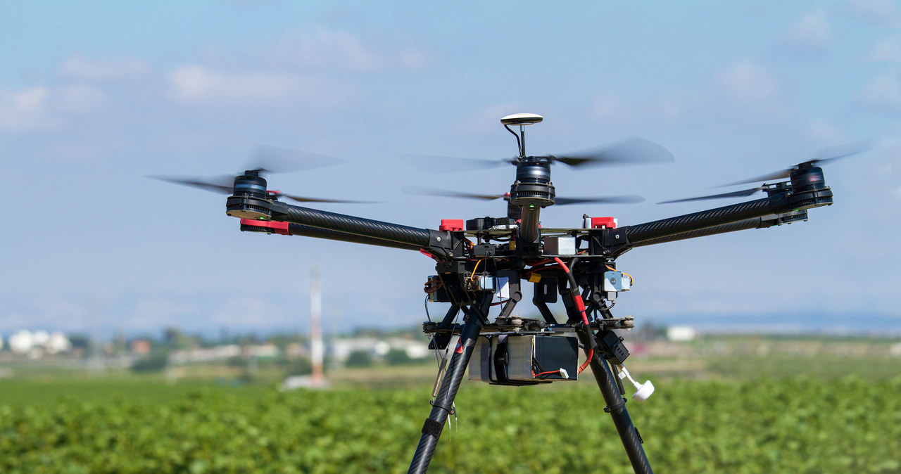 Drony teraz pracują także w rolnictwie, doglądając upraw /123RF/PICSEL