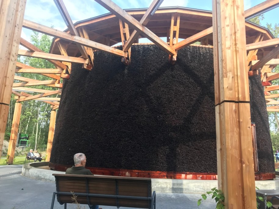 Druga tężnia solankowa w Katowicach /Marcin Buczek /RMF FM