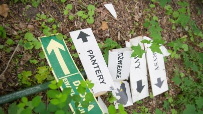 Druga żyrafa padła po ataku wandali na łódzkie zoo