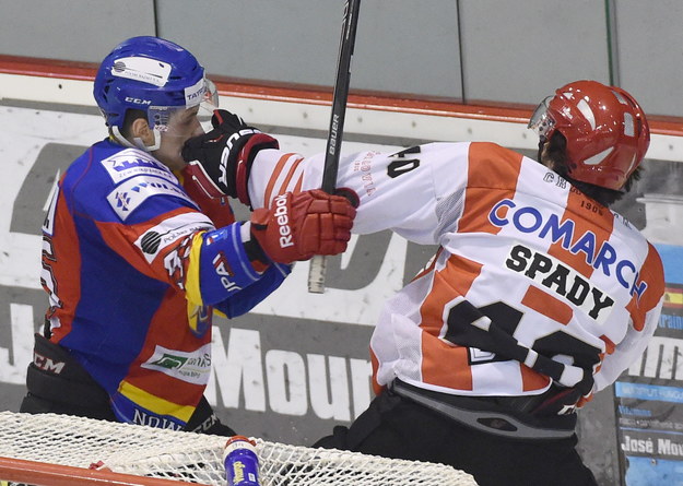 Drugi mecz ćwierćfinału play off Polskiej Hokej Ligi pomiędzy Comarch Cracovią i MMKS Podhalem Nowy Targ. Argumenty wymieniają na pięści Damian Kapica (po lewej) i Erik Spady /Jacek Bednarczyk /PAP