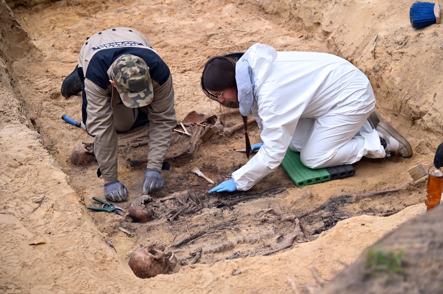 Drugi sezon badan archeologiczno-genetycznych na terenie byłego niemieckiego obozu jenieckiego Stalag II-D w Stargardzie /	Marcin Bielecki   /PAP