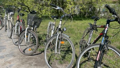 Drugie życie zgubionych rowerów. Nowa inicjatywa we Wrocławiu