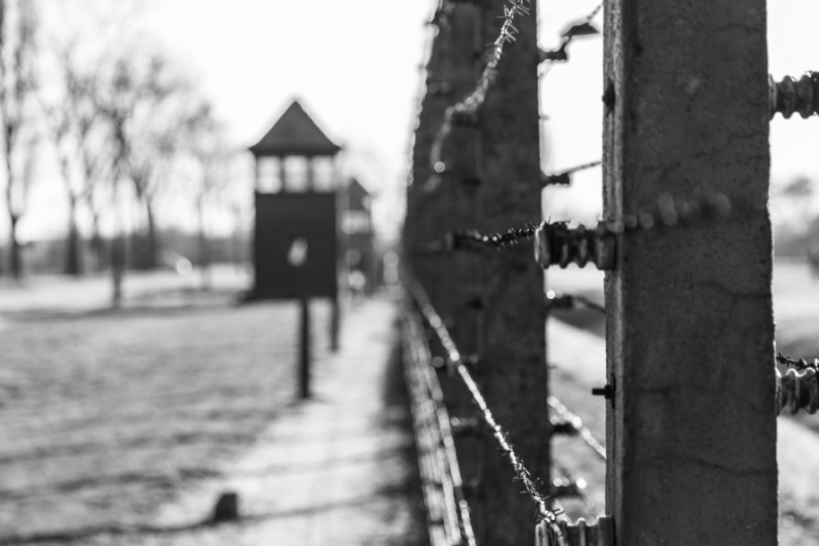 Drut kolczasty okalający obóz Auschwitz II-Birkenau /Shutterstock