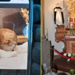"Druzgocąca wiadomość". Złodziej ukradł bezcenną relikwię z bazyliki