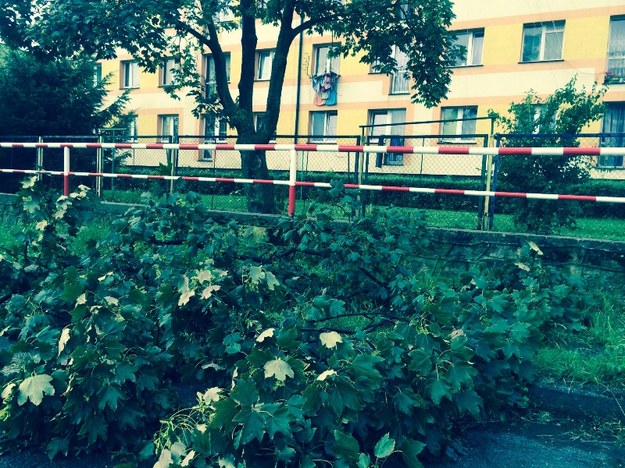 Drzewa blokują przejazd lokalnymi drogami /Bartłomiej Paulus /RMF FM