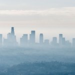 Drzewa emitują ten gaz. Ozon zmienia go w kluczowy składnik smogu