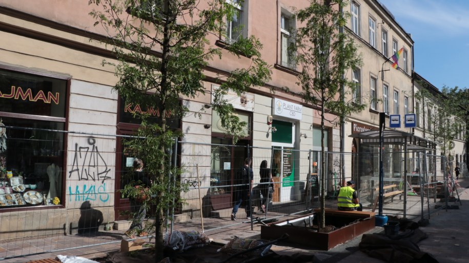 Drzewa na ulicy Krakowskiej /Józef Polewka /RMF FM