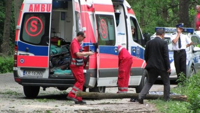 Drzewa spadły na grupę dzieci. Nie żyje 13-latka
