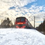 ​Drzewa usunięte. Po pięciu dniach przerwy pociągi wracają