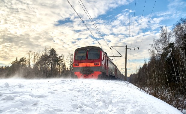 ​Drzewa usunięte. Po pięciu dniach przerwy pociągi wracają