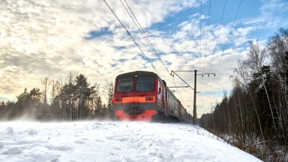 ​Drzewa usunięte. Po pięciu dniach przerwy pociągi wracają