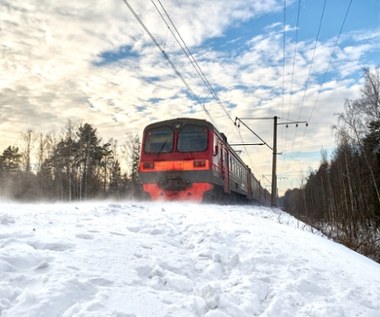 ​Drzewa usunięte. Po pięciu dniach przerwy pociągi wracają