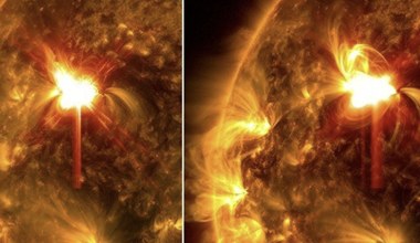 Drzewa zapisały gwałtownie wybuchy Słońca. Węgiel magazynowany miesiącami 