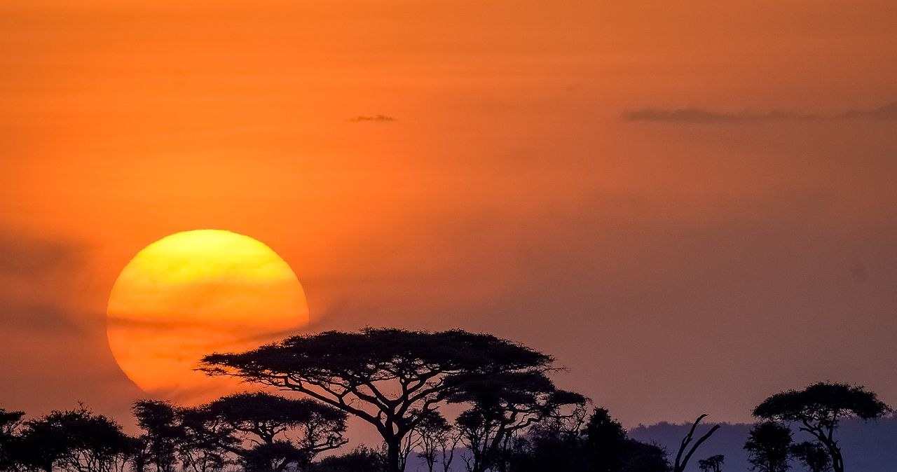 Drzewo akacjowe na tle zachodzącego słońca w Serengeti (północna Tanzania) /Grahampurse/CC BY-SA 4.0 (https://creativecommons.org/licenses/by-sa/4.0/deed.en) /Wikimedia