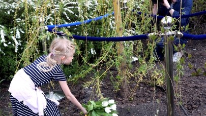 "Drzewo Łez" na terenie dawnego getta warszawskiego. "Ta wierzba to płacz matek"