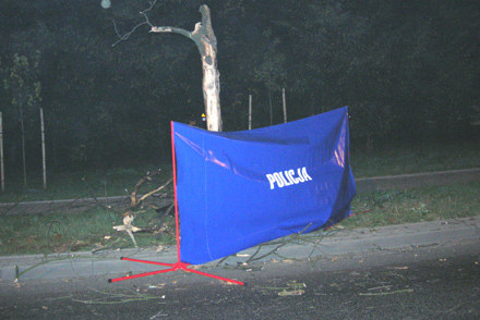 Drzewo, o które rozbił się 22-letek rosło przy samej drodze /Policja