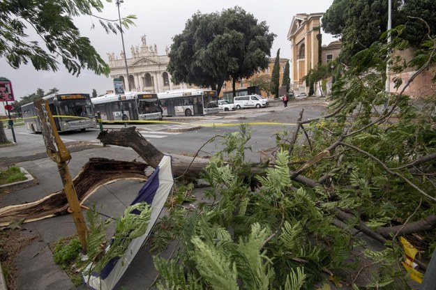 Drzewo powalone przez wiatr na jednej z rzymskich ulic /MASSIMO PERCOSSI /PAP/EPA