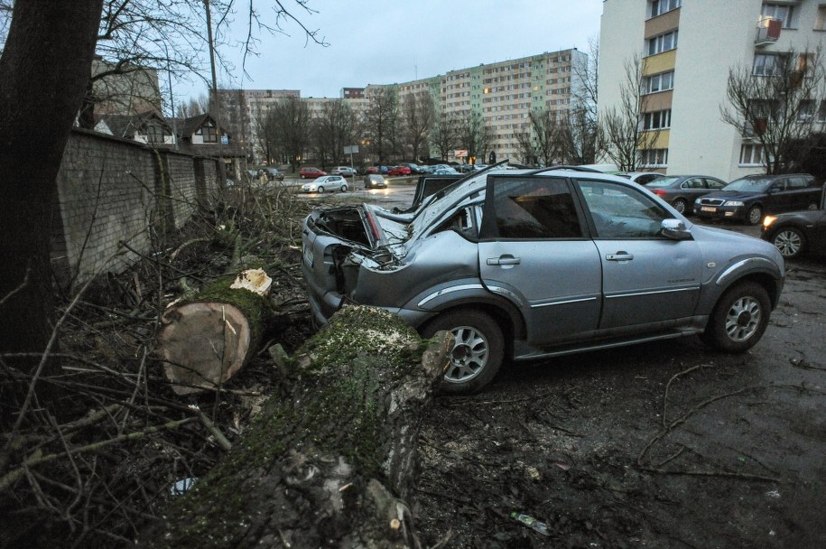 Drzewo powalone przez wiatr na samochód w Koszalinie /Marcin Bielecki /PAP