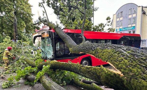 Drzewo przewróciło się na autobus miejski w Żywcu. Są ranni 