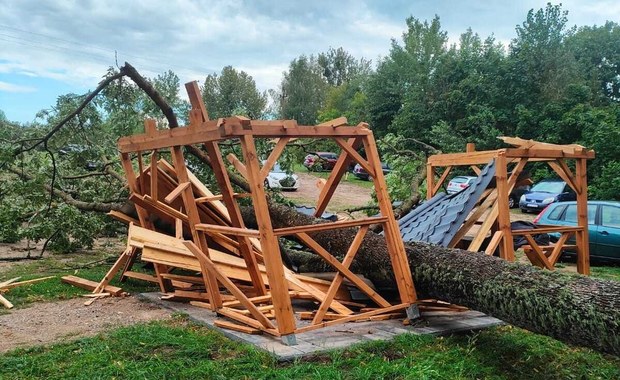 Drzewo przewróciło się na kobietę. Burzowo na Warmii i Mazurach 