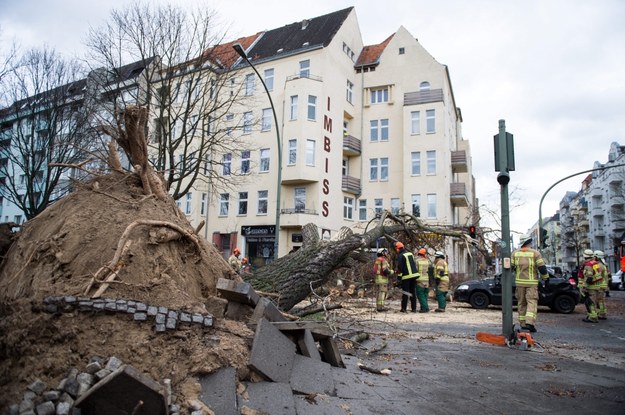 Drzewo przewrócone na ulicę w Berlinie /BERND VON JUTRCZENKA /PAP/EPA