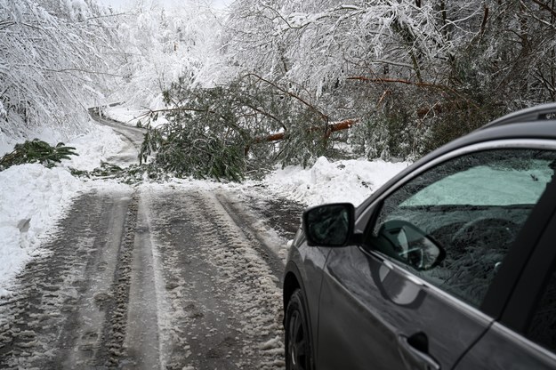 Drzewo przewrócone pod ciężarem mokrego śniegu, tarasujące przejazd lokalną drogą w rejonie Śliwnic na Podkarpaciu /	Darek Delmanowicz   /PAP