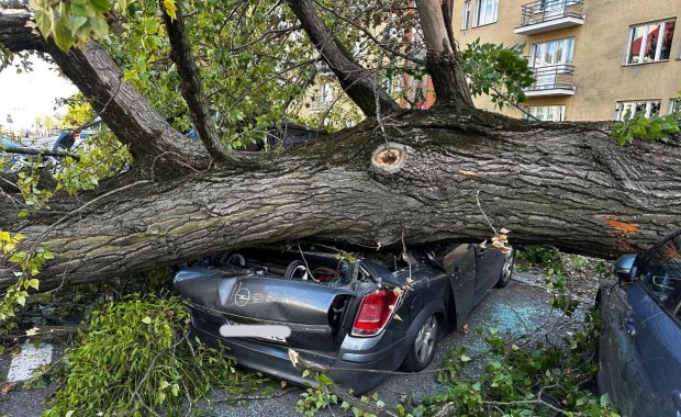 Drzewo przygniotło auta w Warszawie. W środku byli ludzie