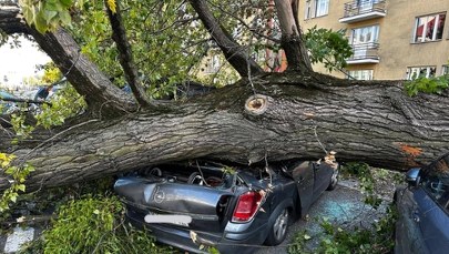 Drzewo przygniotło auta w Warszawie. W środku byli ludzie