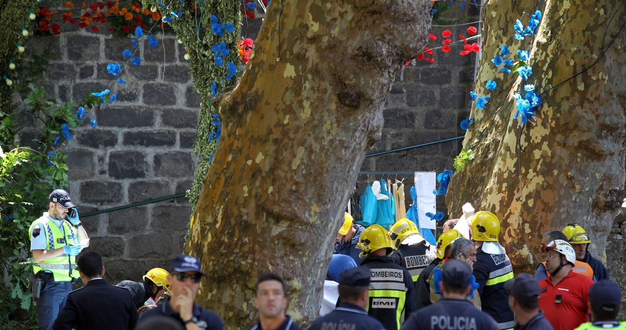 Drzewo przygniotło ludzi na Maderze, 11 zabitych
