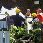 Drzewo przygniotło ludzi podczas obchodów religijnych na Maderze. Kilkunastu zabitych
