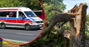 Drzewo przygniotło przechodniów w Kołobrzegu. Dwie osoby w szpitalu