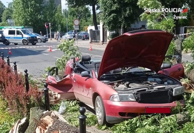 Drzewo spadło na samochód /Policja