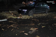 Drzewo spadło na samochody
