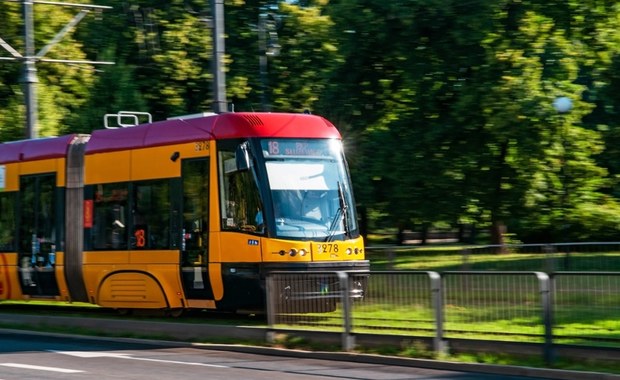 Drzewo spadło na tramwaj. Służby na miejscu