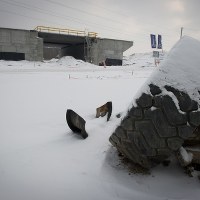 Budowa autostrady A2 Stryków - Konotopa w rejonie Dmosina