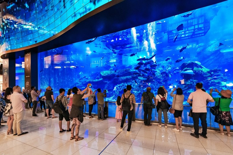 Dubai Mall to nie tylko zakupy. W największym centrum handlowym na świecie jest też gigantyczne akwarium. /123RF/PICSEL