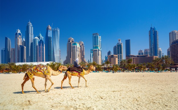 Dubaj na zdjęciu ilustracyjnym /Shutterstock