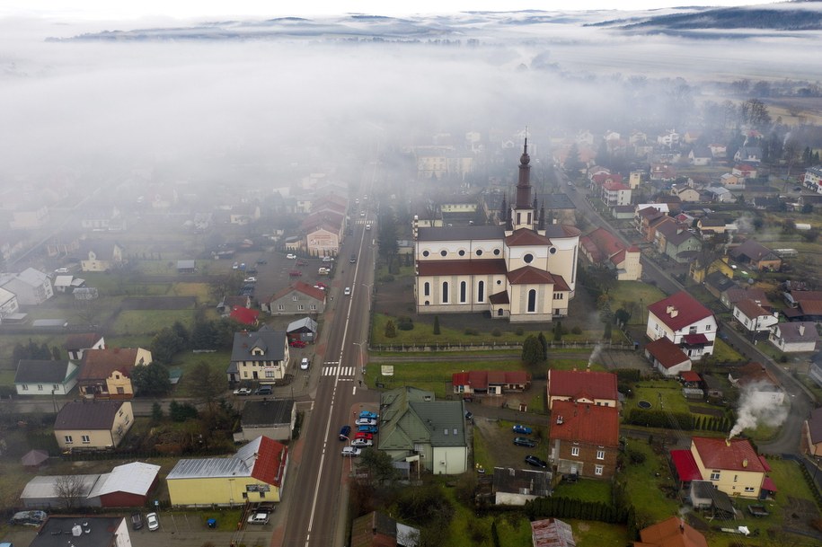 Dubiecko ma 239 hektarów powierzchni i blisko 900 mieszkańców /Darek Delmanowicz /PAP