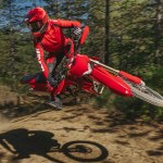 Ducati wchodzi do świata enduro. Jeden cylinder i 450 cm3 pojemności