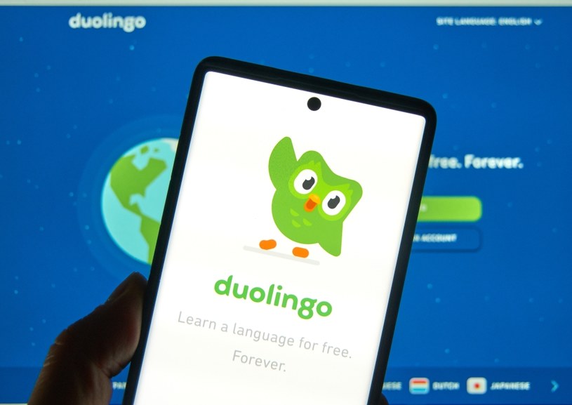 Duolingo ze sztuczną inteligencją! Podrasowana sowa nauczy was języka /123RF/PICSEL