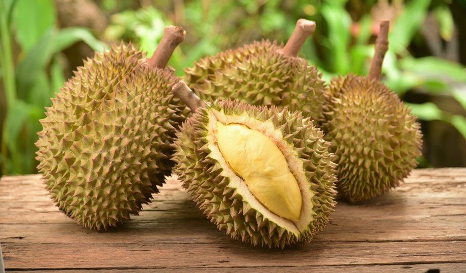 Durian na zdjęciu ilustracyjnym /Shutterstock