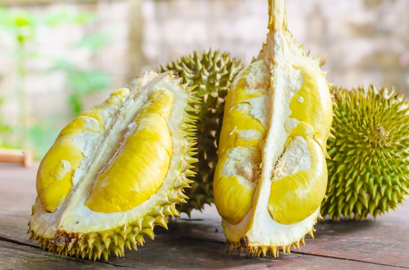 Durian - wyjątkowo pyszny ale i śmierdzący owoc /123RF/PICSEL