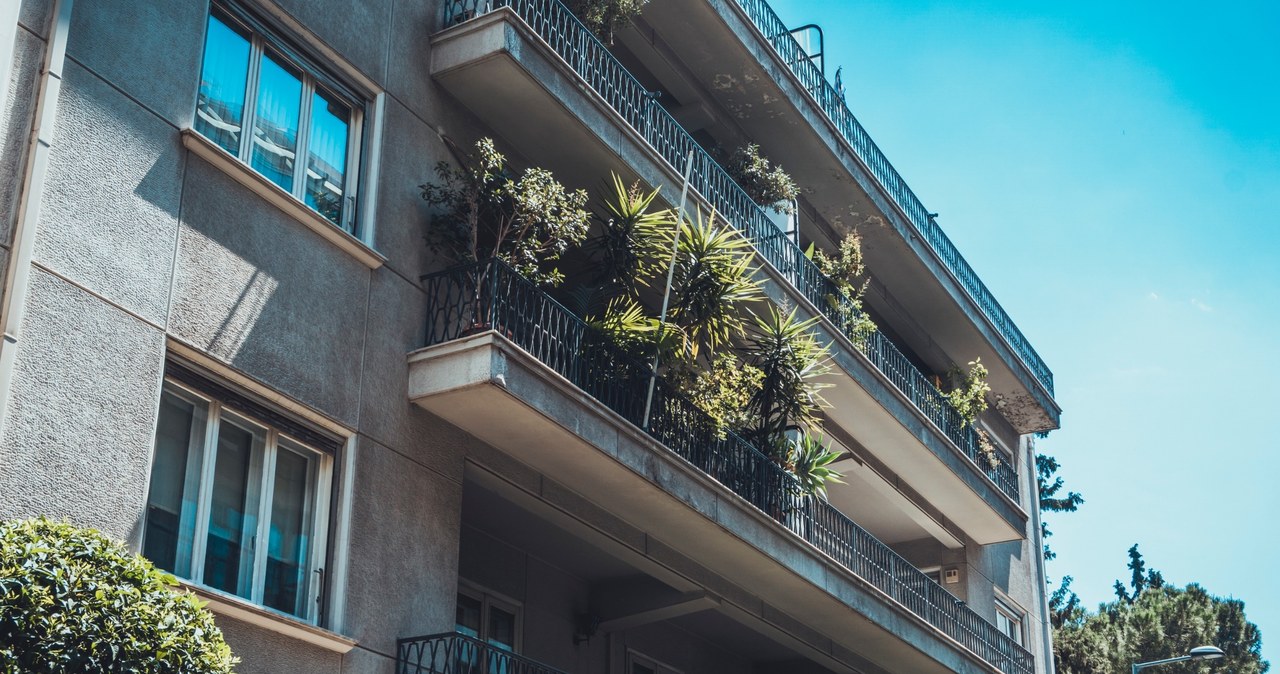 Duża ilość roślin na balkonie pozwoli skutecznie odgrodzić się od sąsiada /123RF/PICSEL