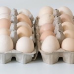 Duża sieć wycofuje te produkty. Polacy nie chcą ich kupować