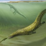 Duże, drapieżne płazy opanowały morza całego świata. Jak to się stało?