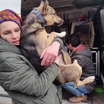 ​Duże problemy z przewozem zwierząt z Ukrainy